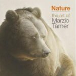 Nature the art of Marzio Tamer, al MUSE di Trento