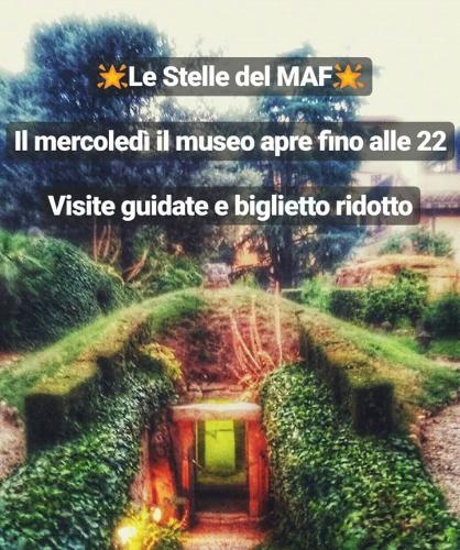 Le Stelle del MAF - Museo Archeologico di Firenze