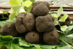 Sagra del Tartufo di Laconi (OR) 18 giugno